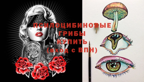 мдма Медвежьегорск