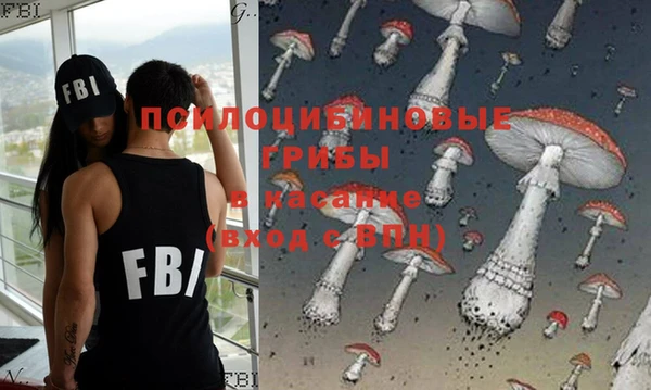 бутират Медногорск