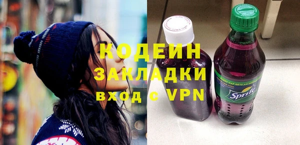 мдпв Кадников