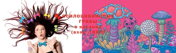 бутират Медногорск