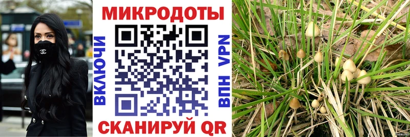 как найти закладки  блэк спрут ссылка  Галлюциногенные грибы ЛСД  Майский 