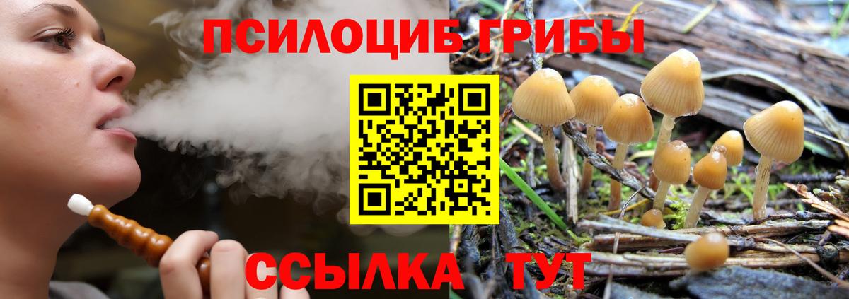 Псилоцибиновые грибы мицелий Майский