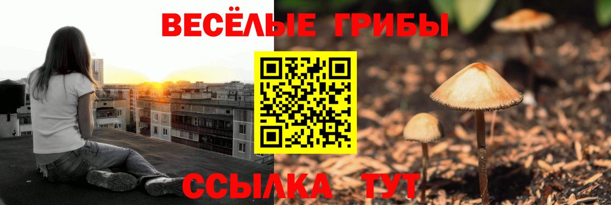 Галлюциногенные грибы Cubensis Майский