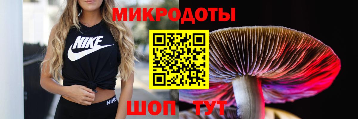 хочу   Вход с VPN  Майский  Галлюциногенные грибы MAGIC MUSHROOMS 